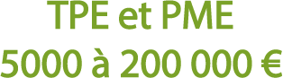 TPE et PME, des aides de 5000 à 200 000 € sont disponibles